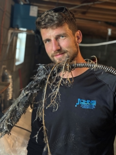 Tree roots in sewer lines are a common cause of recurring clogs, slow drains, and sewer backups.